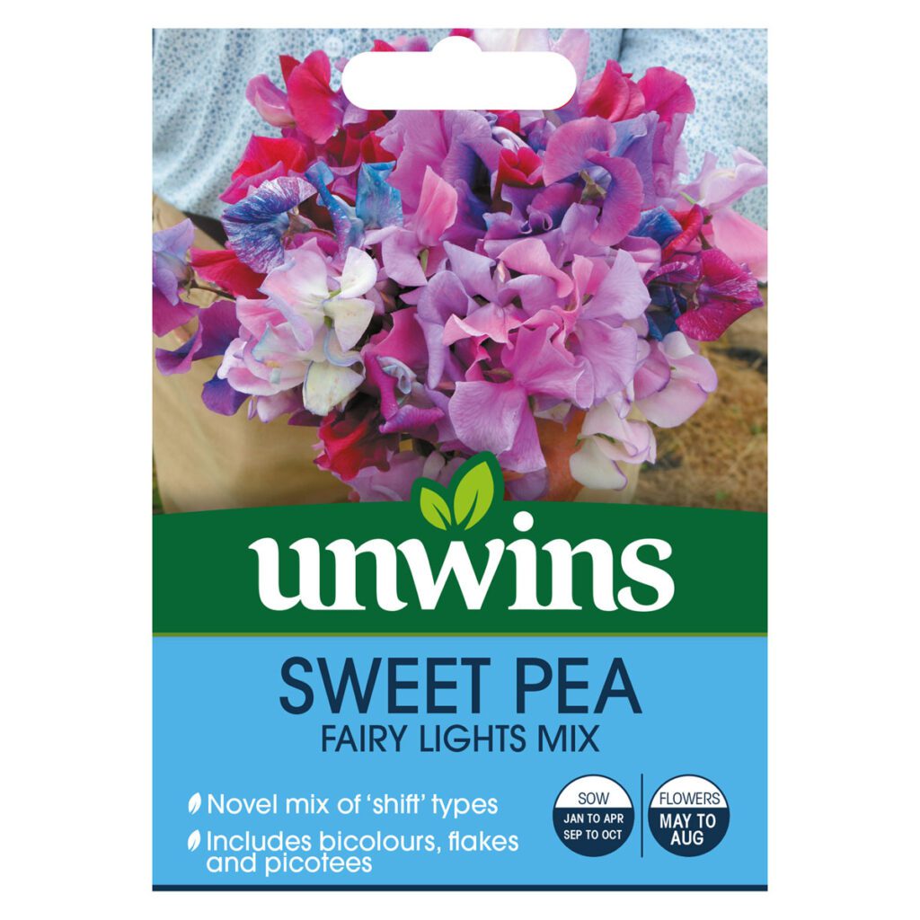 Unwins Sweet Pea Fairy Lights Seeds 5051618016148 2